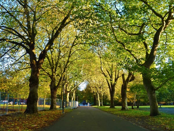 Sefton Park, Liverpool