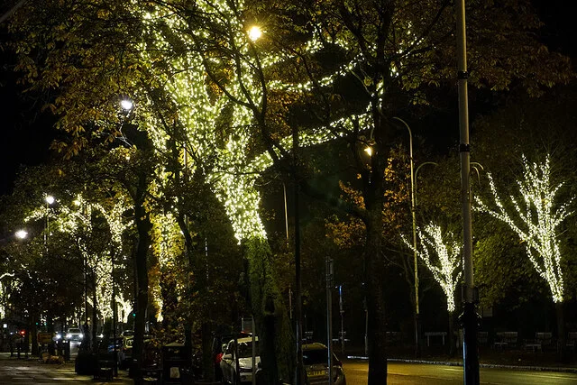 Trees along a Southport street wrapped in warm white fairy lights at night