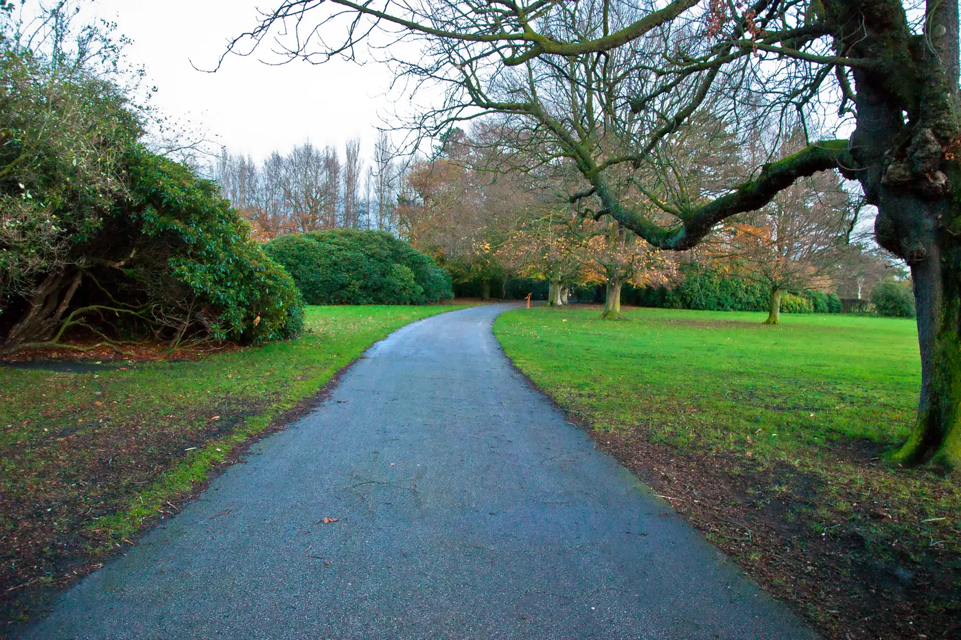 A tarmac path curving between mature trees and grass in Croxteth Hall Park