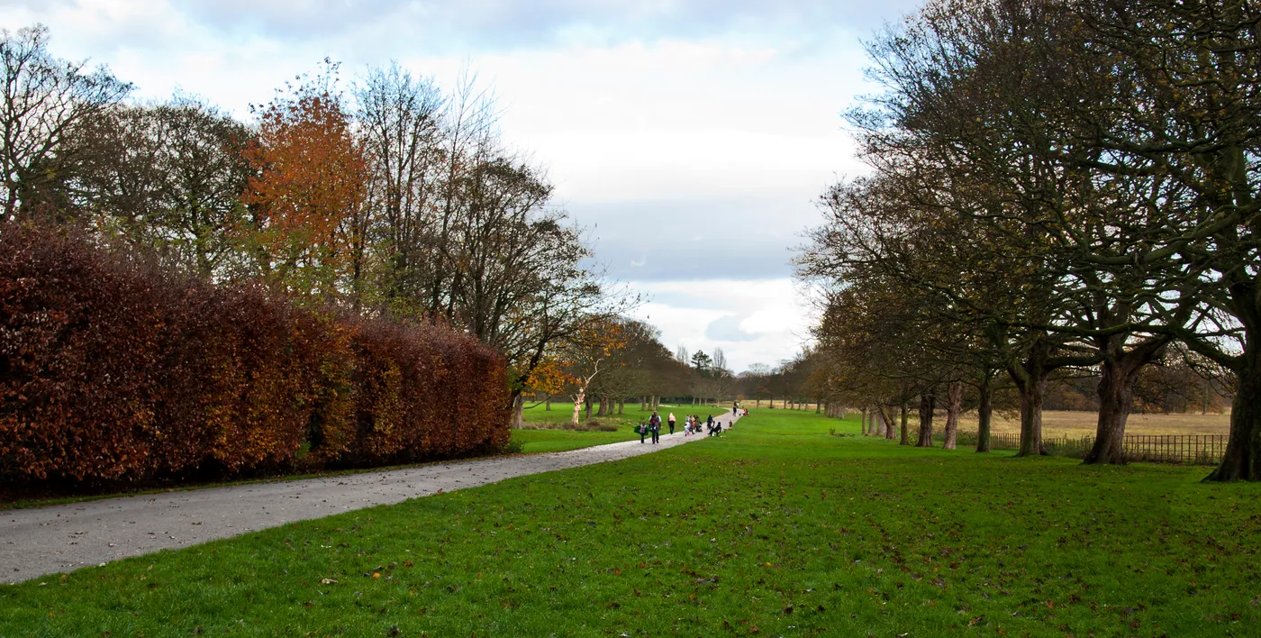 A wide surfaced path running through open parkland at Croxteth, with autumn trees and walkers in the distance