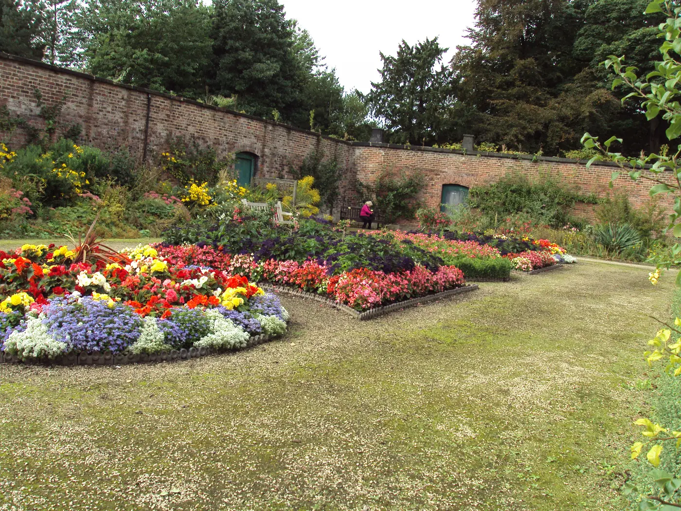 Bedding displays of red, yellow and white flowers in front of the old brick wall of the Croxteth walled garden