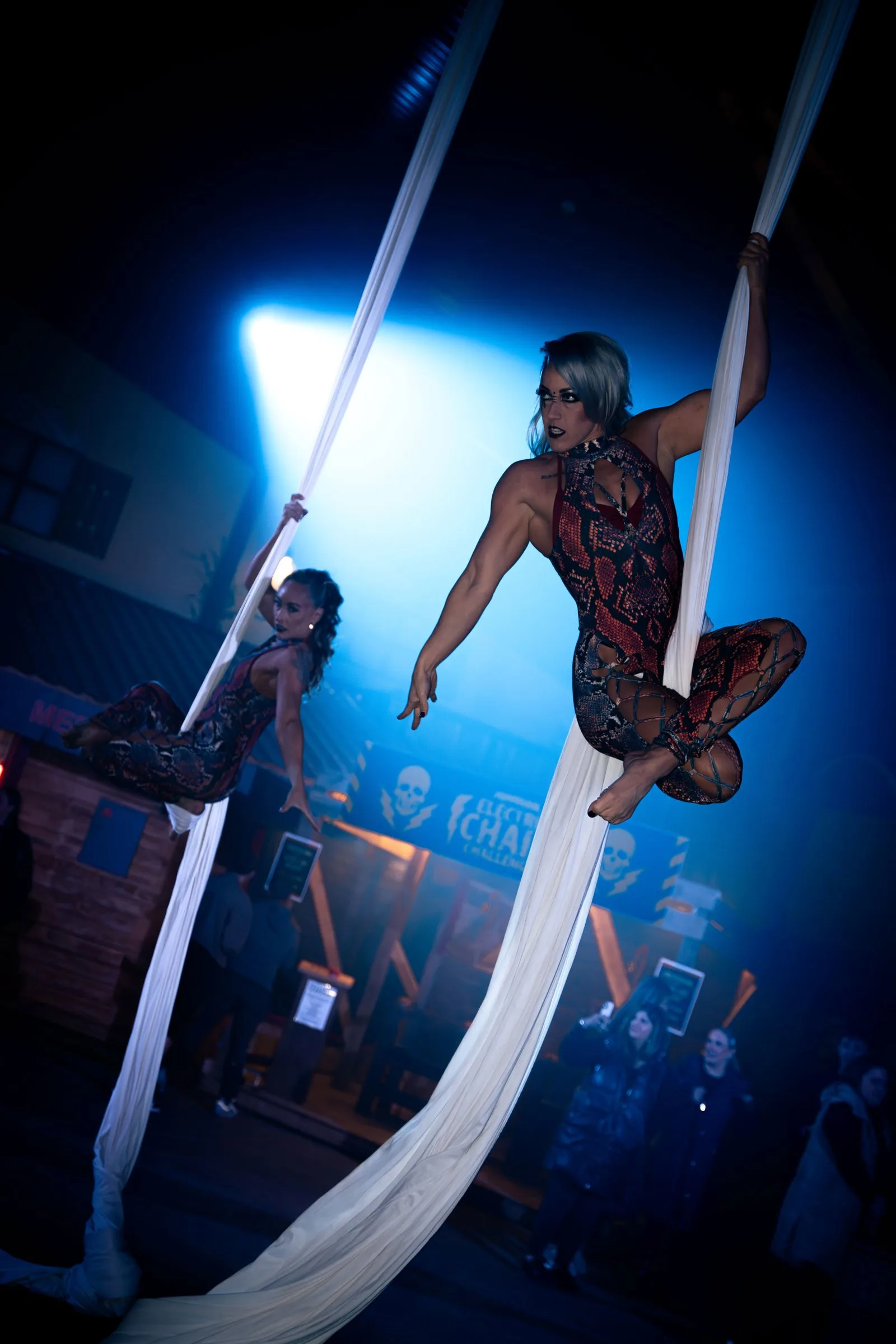 Two aerial silk performers in snake-print costumes and horror make-up performing above the crowd at Farmaggedon