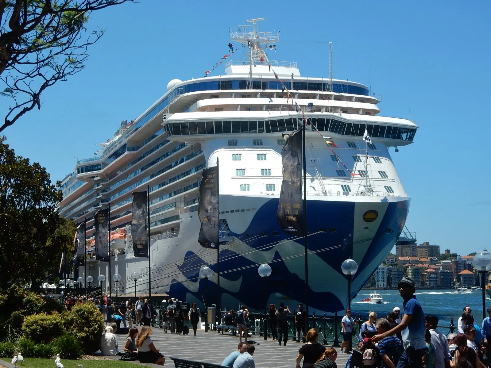 The bow of Majestic Princess towering over a quayside, with blue and white artwork painted across the hull