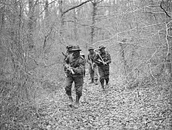 Armed soldiers patrolling through woodland